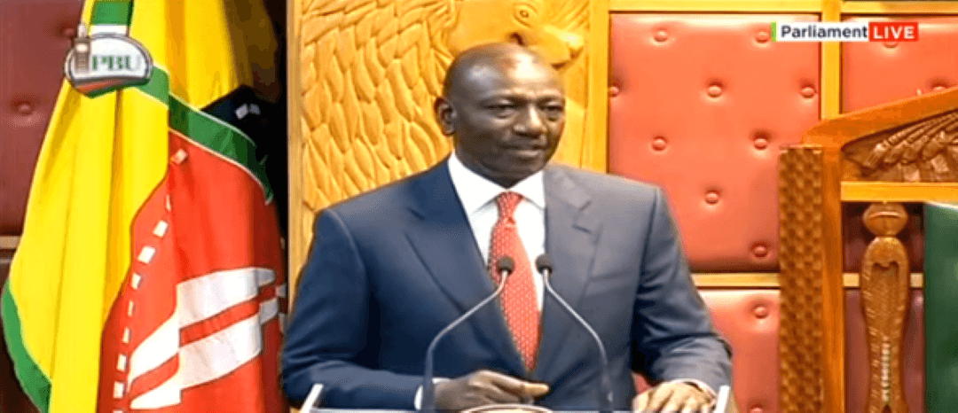 Ruto: We should distinguish between criminals and protestors