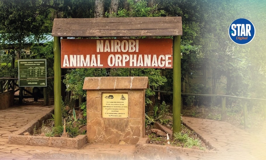 Google Maps: Most reviewed visitors attraction in Kenya