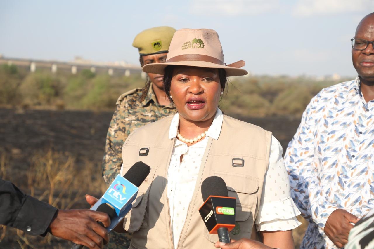 What to observe while visiting parks - CS Miano