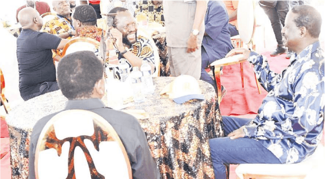 KANYADUDI: Why falling-out in ODM is healthy for democracy