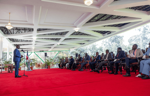 Energy, irrigation projects top Ruto's new PPP plans