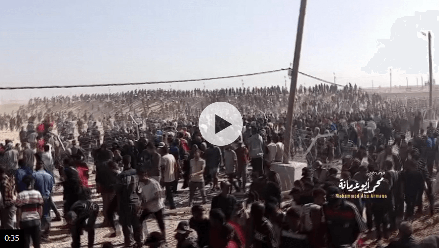 Crowds overrun US-backed group's new aid distribution site in Gaza