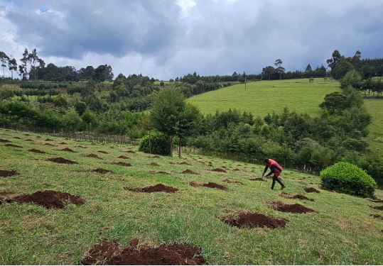 Firm calms fears over carbon credit contracts in Uasin Gishu