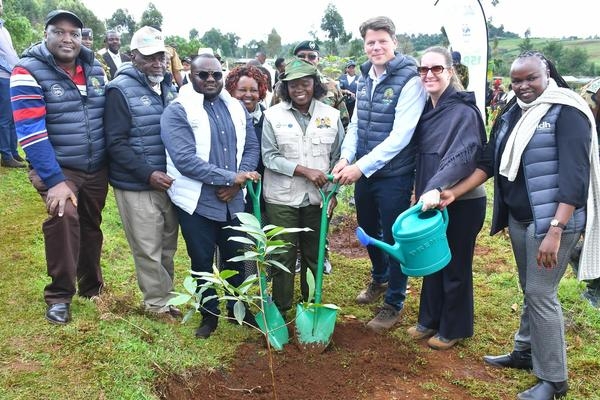 Inside the push to save Mau Forest Complex