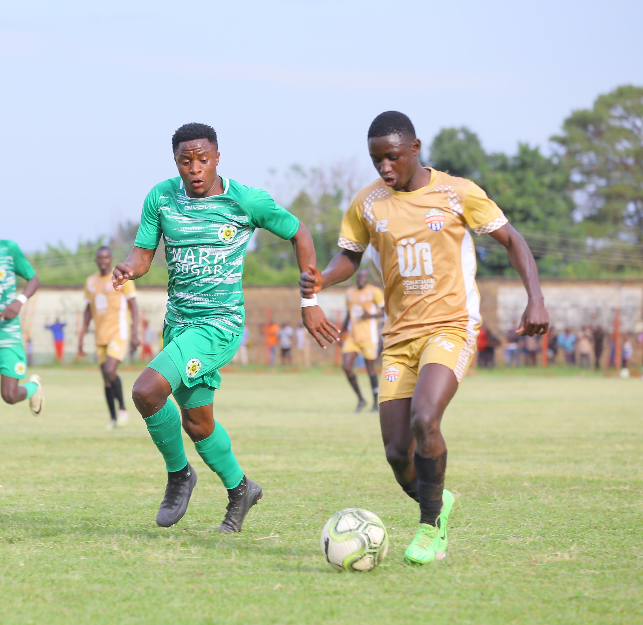 Veteran coach Manoah tasked with saving Mara Sugar from the axe