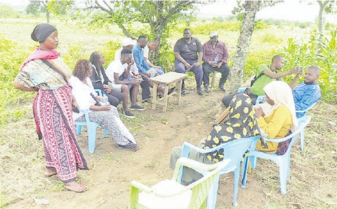 Kwale farmers revive forests, hope for carbon credits cash
