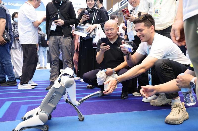 AI pets emerge as new form of companionship in China