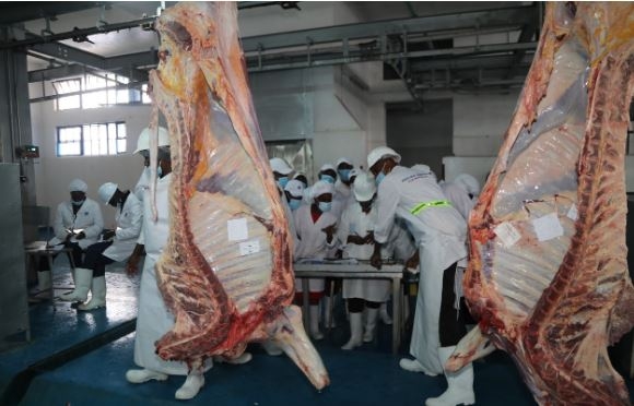 Kagwe: How livestock sector is our economic cornerstone
