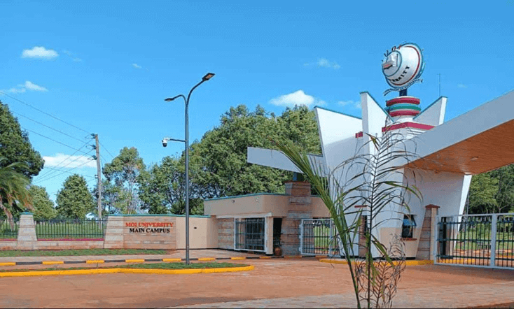 Moi University lists Sh40k dogs among items for auction