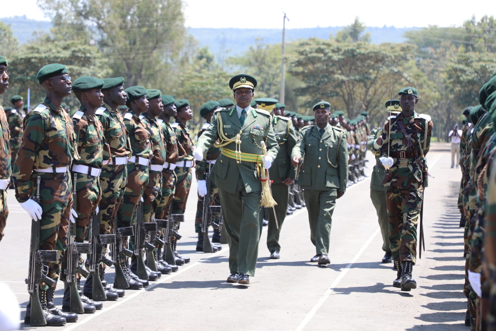 Rangers: Heroes who patrol forests and fight fires