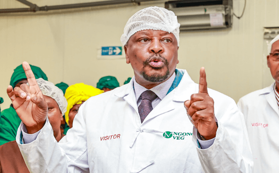 Keep protests peaceful to protect jobs and future - CS Kagwe urges youth