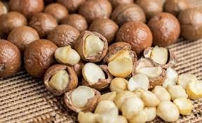AFA bans transit, export of raw Macadamia nuts through Kenya