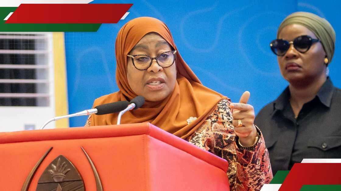 Tanzania bans foreigners from 15 small businesses