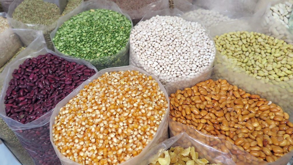 Seed sector thrives on maize but legumes and sorghum lag behind