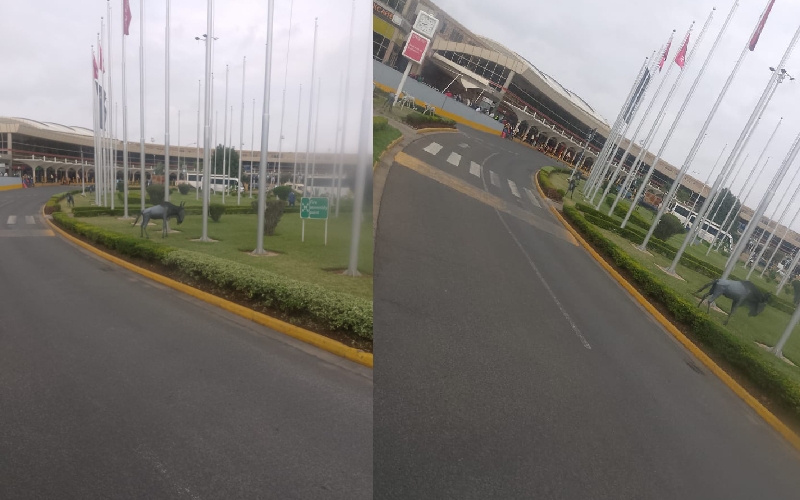 Normalcy reigns at JKIA ahead of Gachagua’s arrival