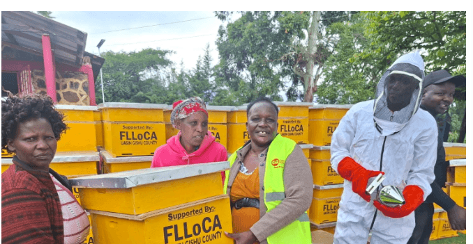 Uasin Gishu farmers turn to beekeeping for better returns