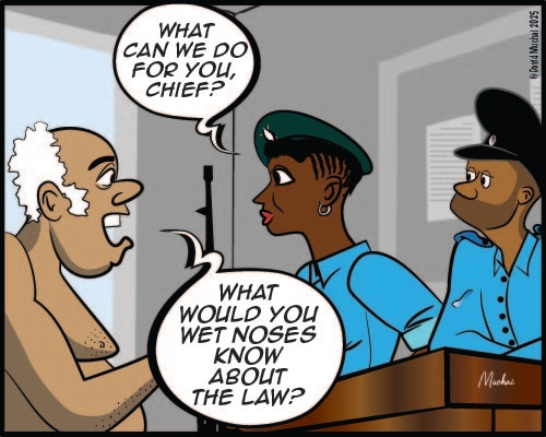 JIJI NDOGO: The chief and the start of a succession saga