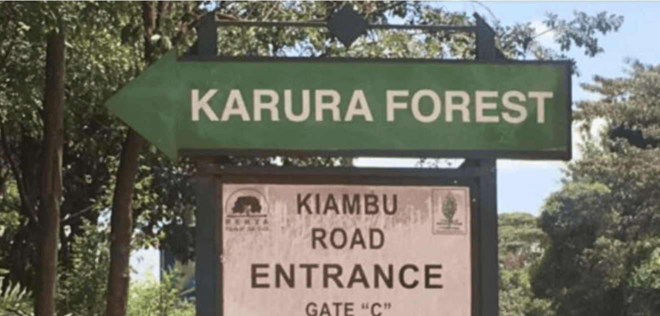 FKF demand reinstatement of joint Karura Forest management