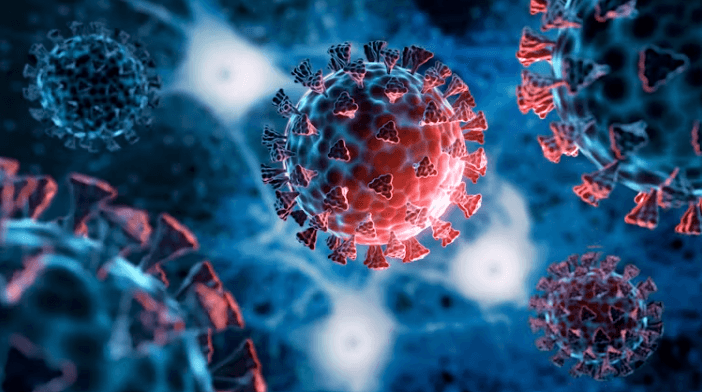 Covid conspiracies threaten future pandemic response