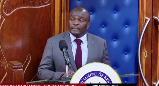 Kericho e-voting was free from manipulation -  ICT Authority