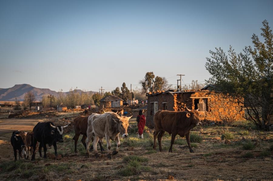 (Hello Africa) Steep U.S. tariff hits Lesotho's textile industry hard