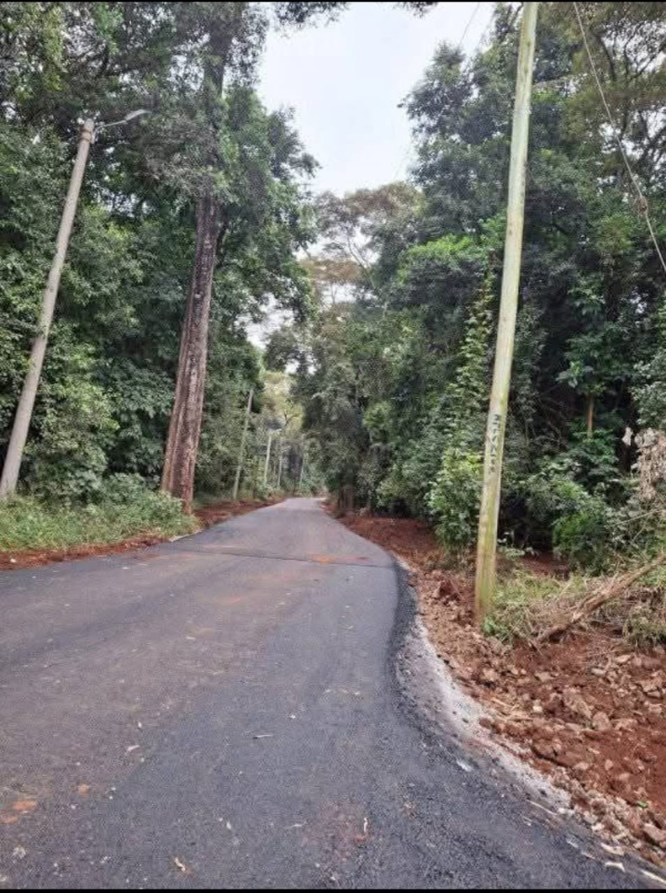 Karura Forest: Why the new management model has sparked fears