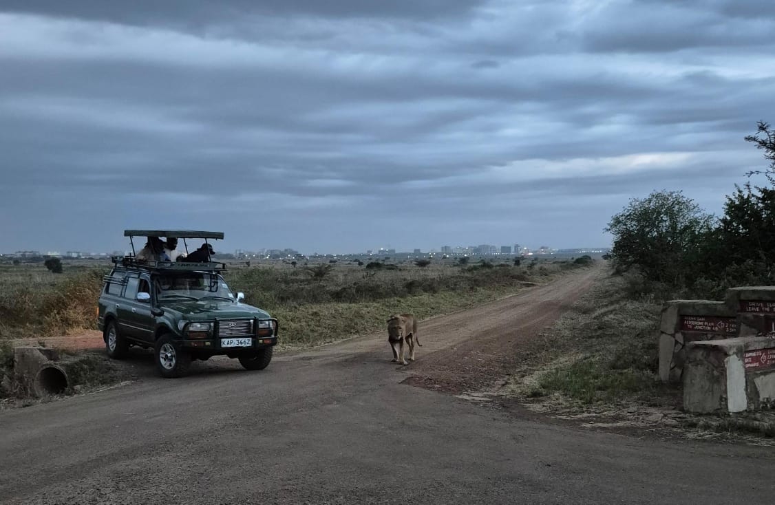 KWS issues strict park rules ahead of Saturday free entry