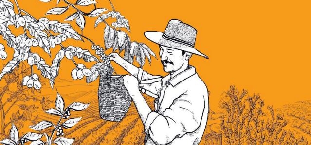 MUGA: Kenya’s puzzling fetish for coffee