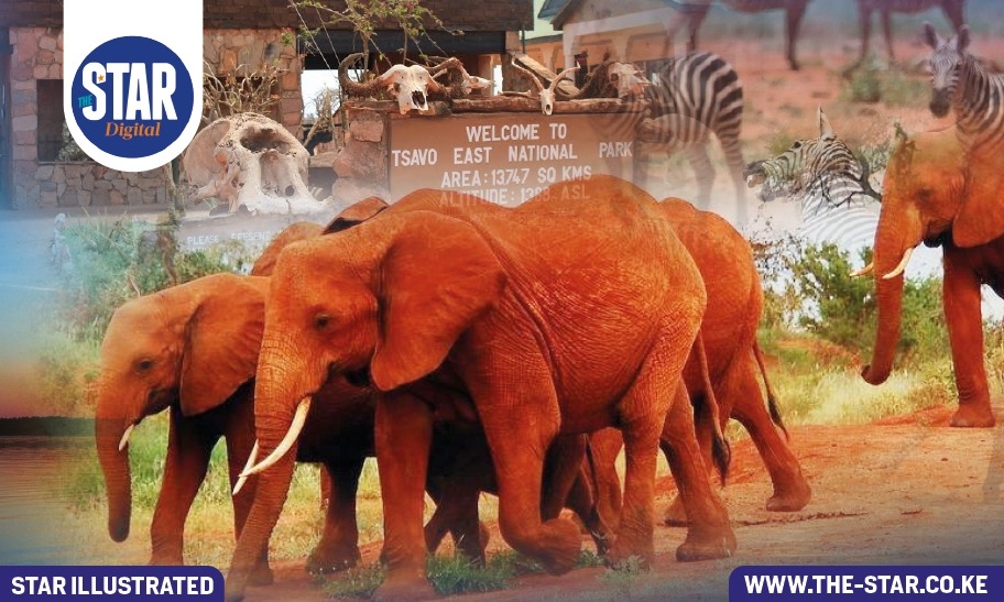 Know Kenya: Tsavo East National Park