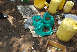 NACADA seizes bhang and chang’aa near school in Siaya, one arrested