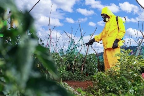 Women and youth in Kenya championing safer pest control, says expert