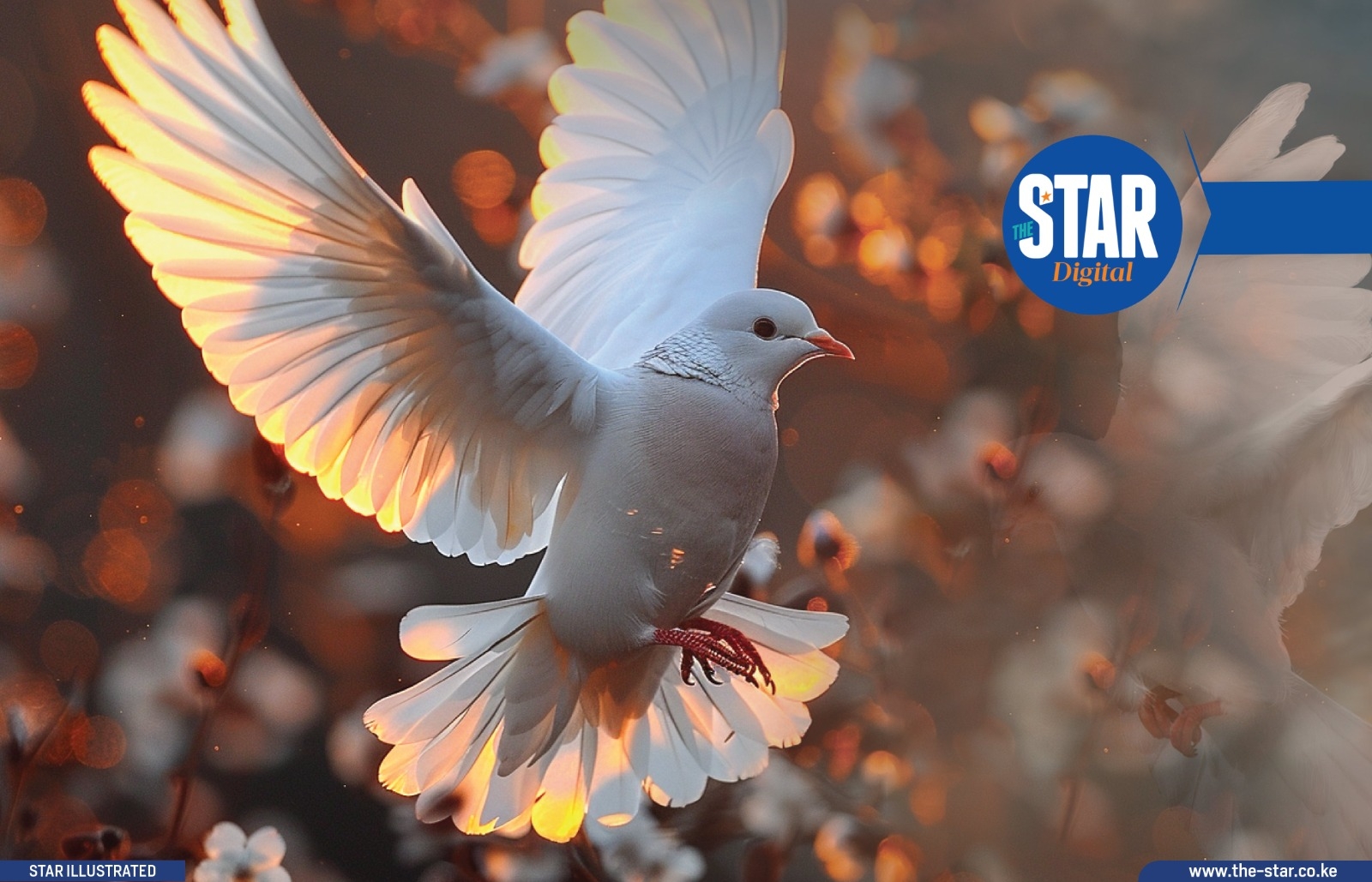 What to know about International Day of Peace