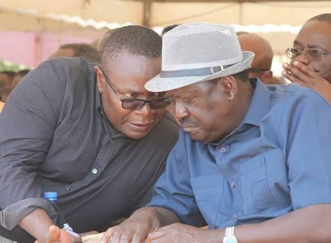Court suspends Busia ODM delegates elections