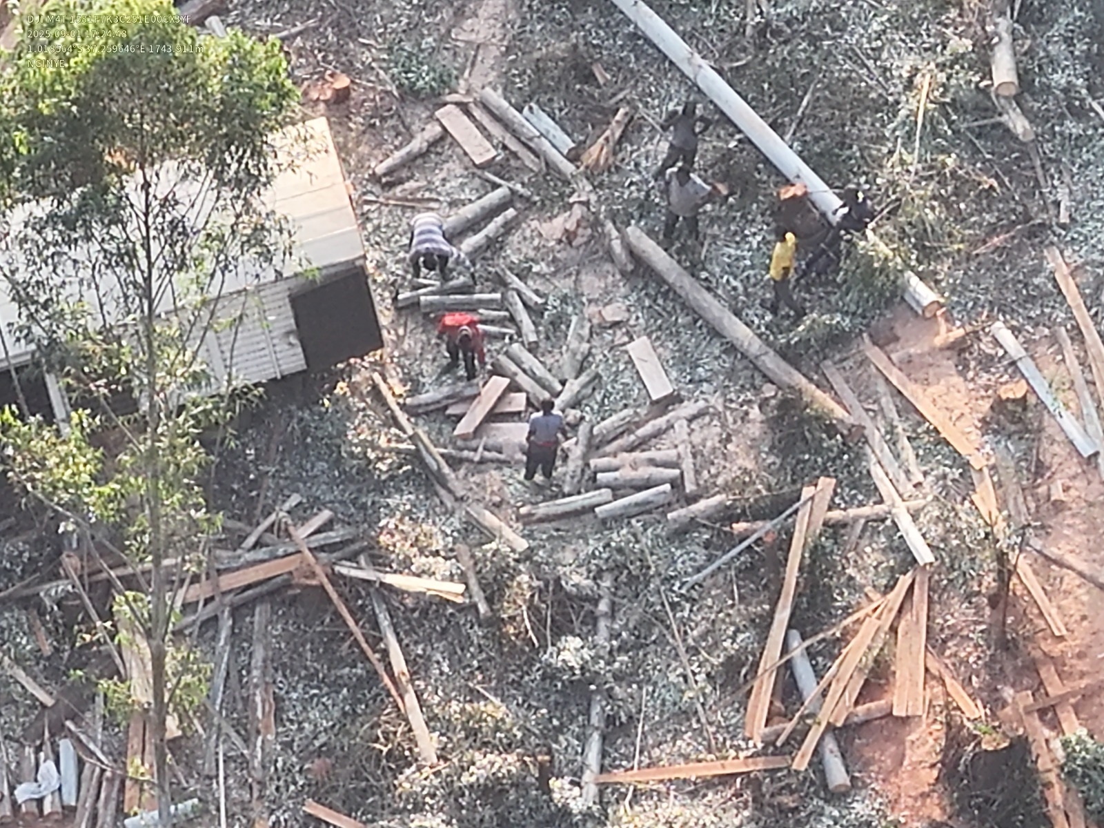 Suspected land invaders remain at Kakuzi farm despite court order