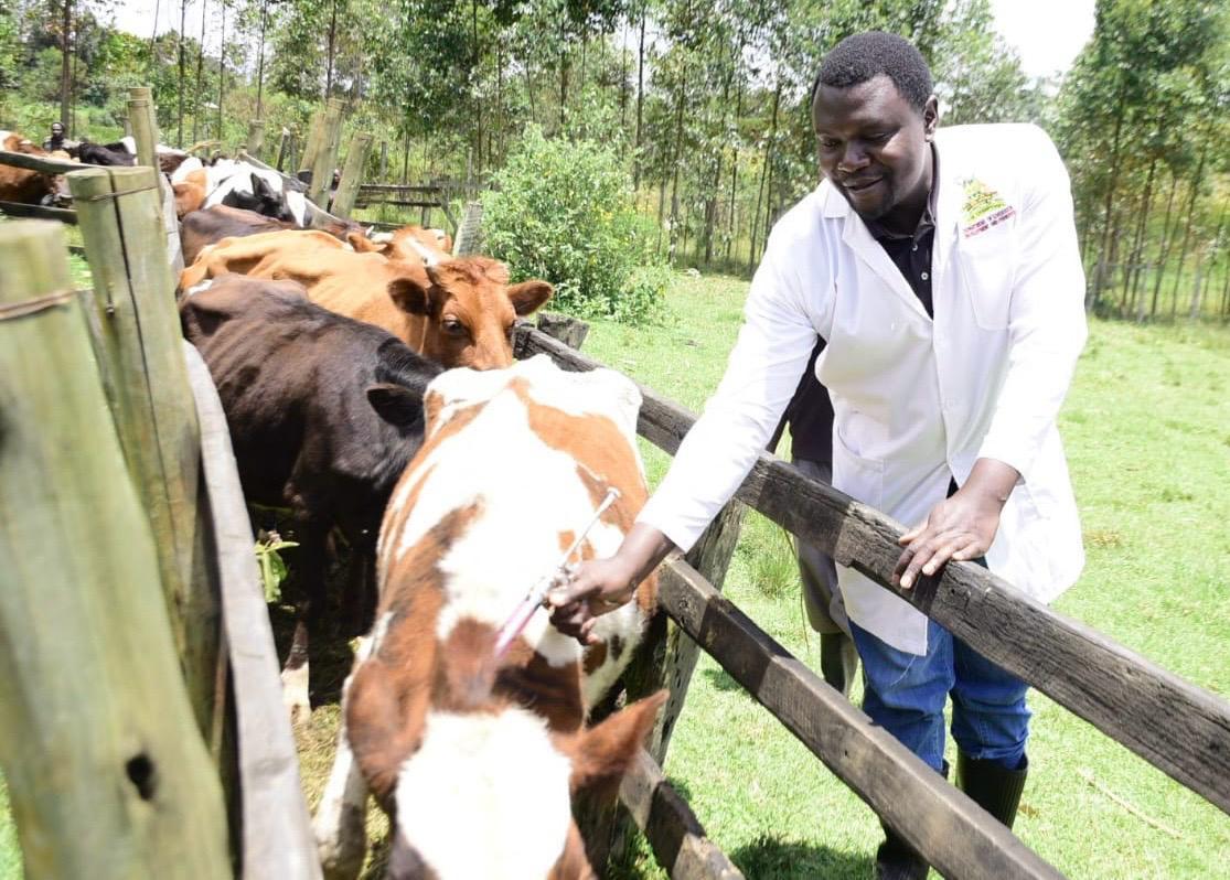 Limit cattle movement to tame foot and mouth disease, says Bii