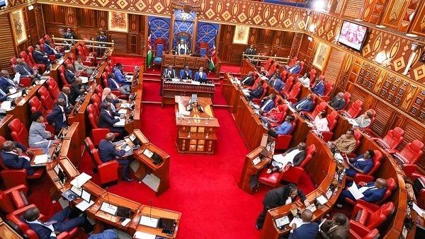 Why senators want overhaul of MoH budget