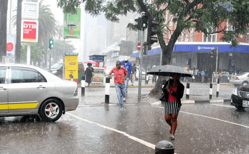 Rainfall to decrease in most parts of country - Kenya Met