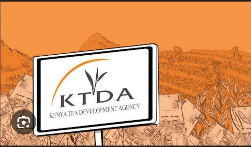 KTDA announces highest dividends