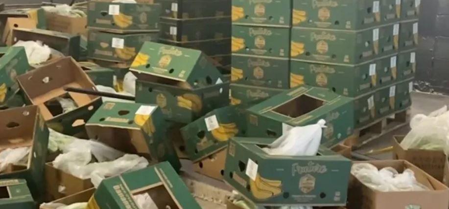 Gang jailed over Sh27.2bn of cocaine in banana boxes