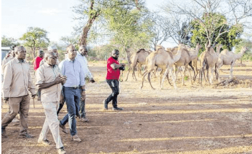 State’s new tracking system to identify livestock, combat theft