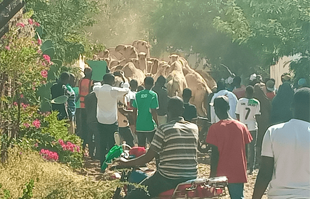 Isiolo herders call on state to hasten arming police reservists