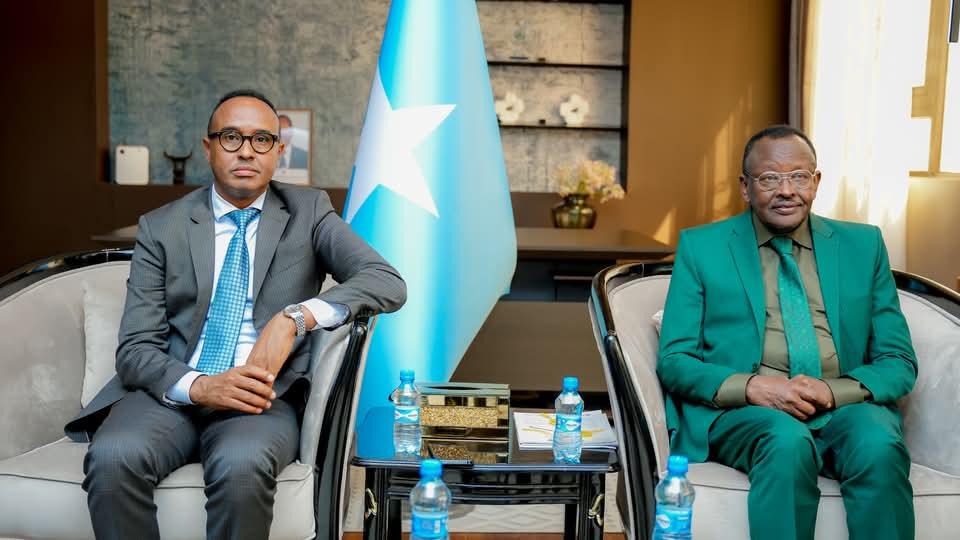 Somalia’s new Environment minister stresses need for clean energy, conservation