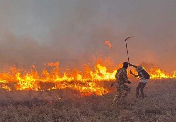 KWS: Two fires reported at Nairobi National Park, one contained