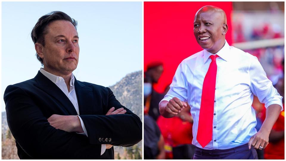 SOCIETY TALK: Elon vs Malema: The saga begins