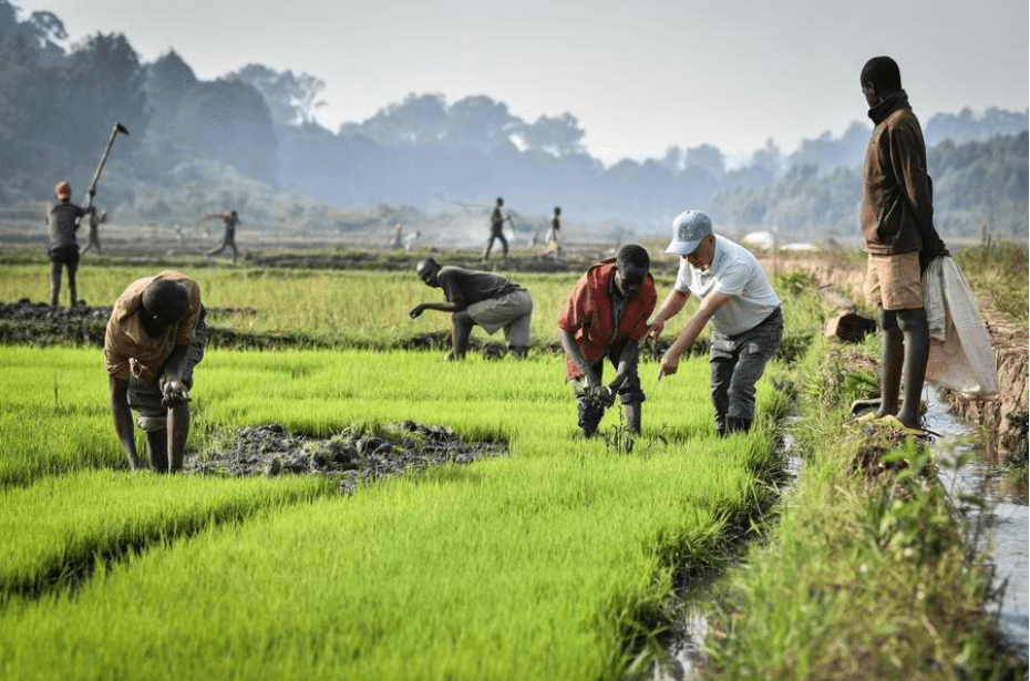 How China-Africa cooperation is reshaping global development