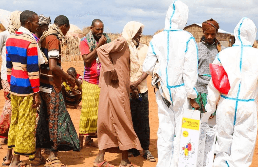 Wajir county begins fumigation to curb Kala-Azar