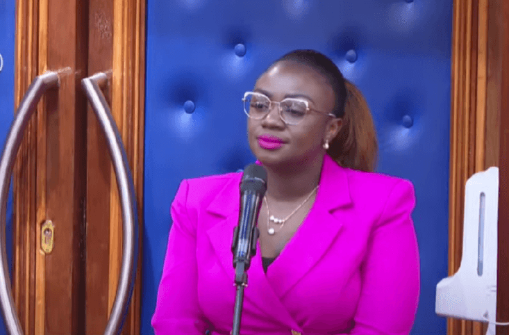 Orwoba walks out of chambers after Kingi refuses apology