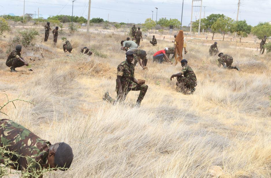 [PHOTOS]: KDF in Garissa conduct tree-planting exercise