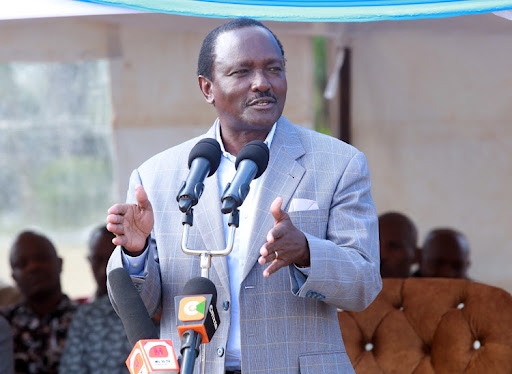 FAKE! Kalonzo flags old State House visit video