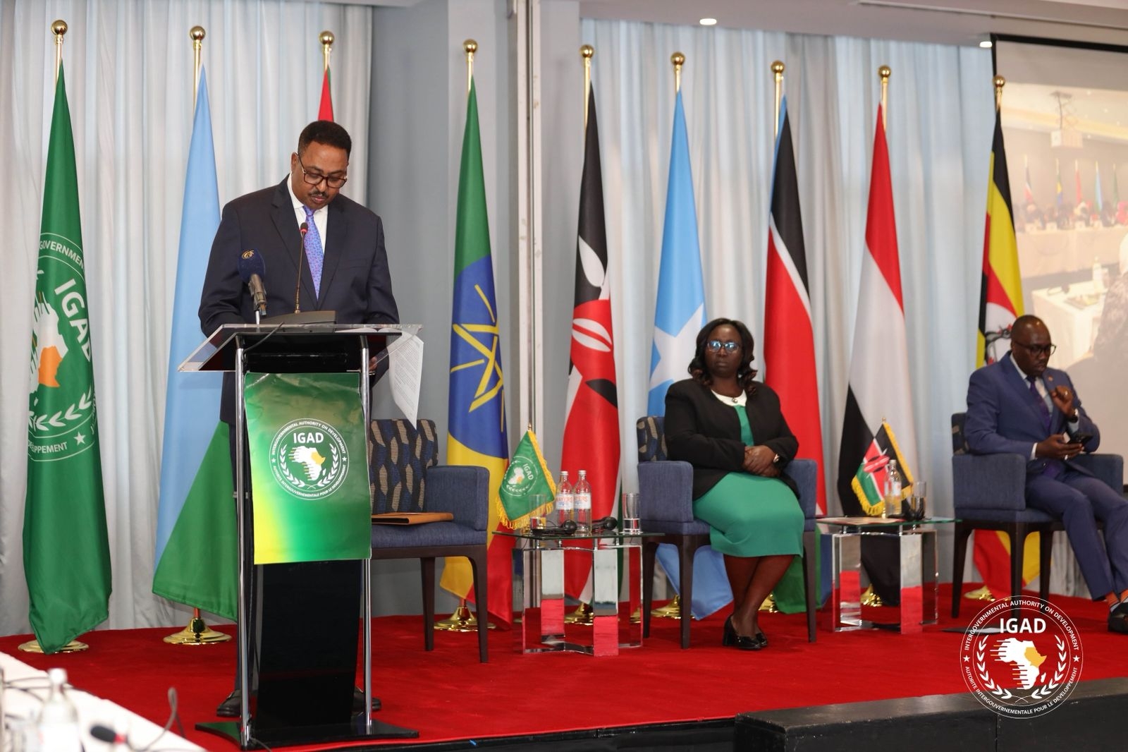 IGAD boss calls on elders to lead charge for regional peace